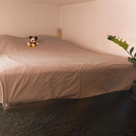 Studio Hyper Centre Saumur Dış mekan fotoğraf