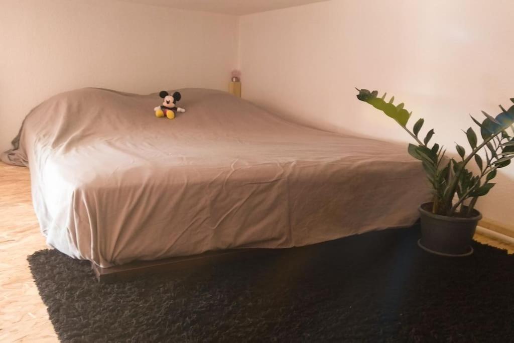 Studio Hyper Centre Saumur Dış mekan fotoğraf